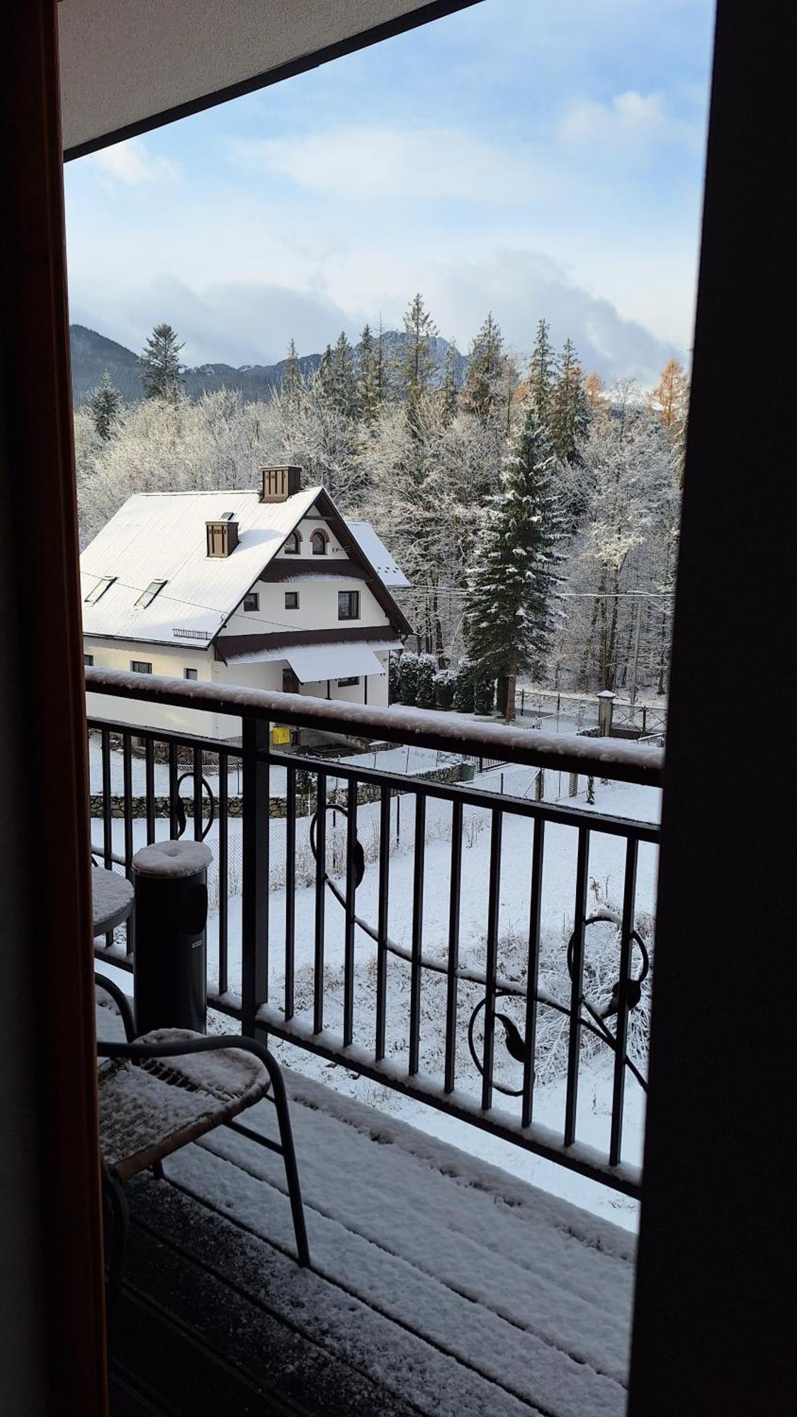 Willa U Kosle 2 Zakopane Exterior photo