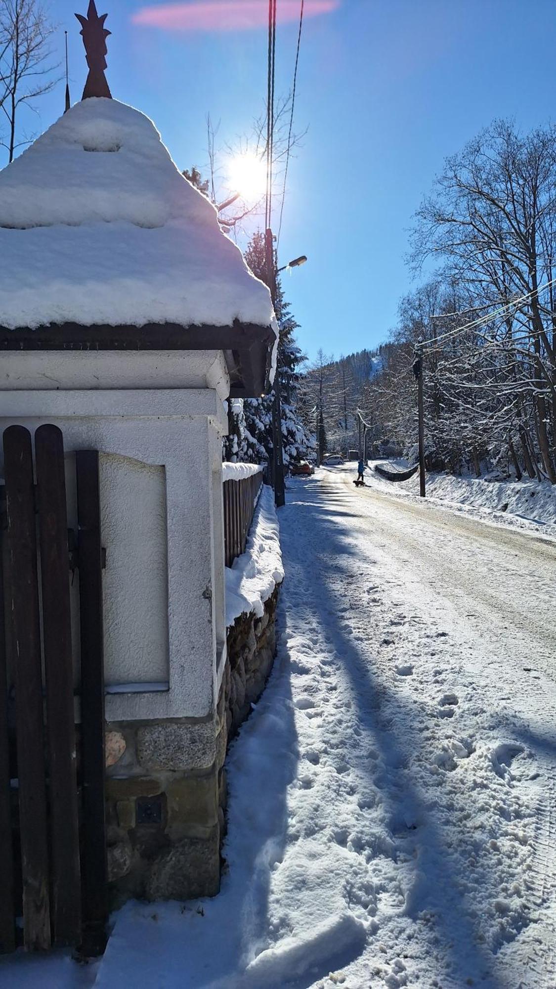 Willa U Kosle 2 Zakopane Exterior photo